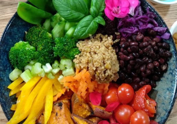 בודהה בול למתחילים