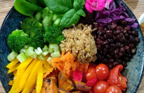 בודהה בול למתחילים