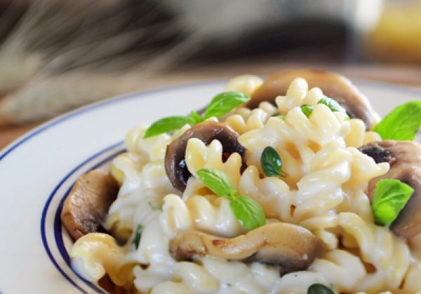 פסטה ברוטב שמנת פטריות
