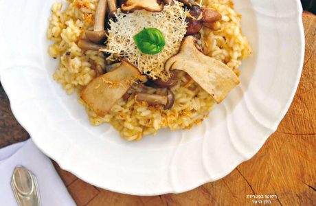 העיקריות הכי "חמות" – 6 מנות להגיש ב2018