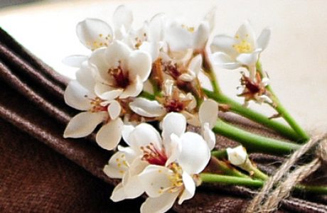 אני בסדר: סטיילינג שולחן ואופי