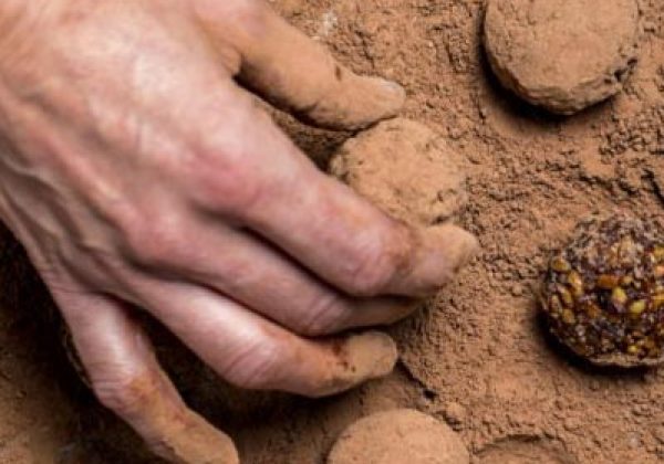 כדורי שוקולד שכיף להכין עם ילדים